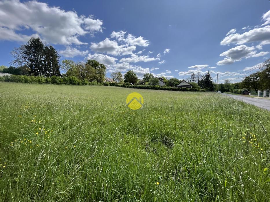 Terrain constructible 3 065m²