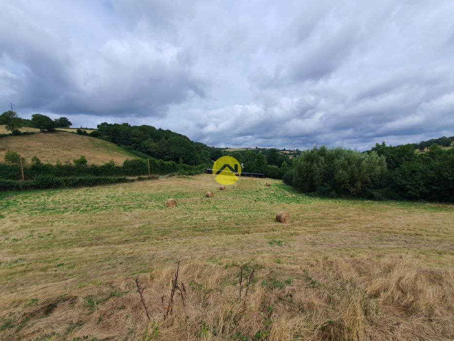 MAISON avec 12000m²   