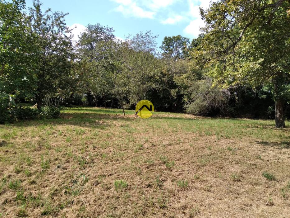 Maison sur 5860 m² de terrain