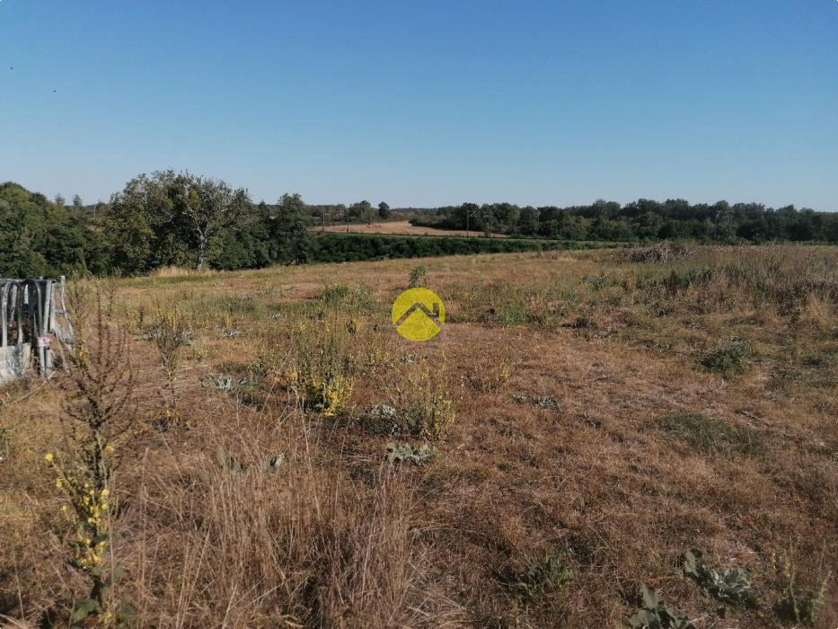 MAISON AVEC 4HA DE TERRE 