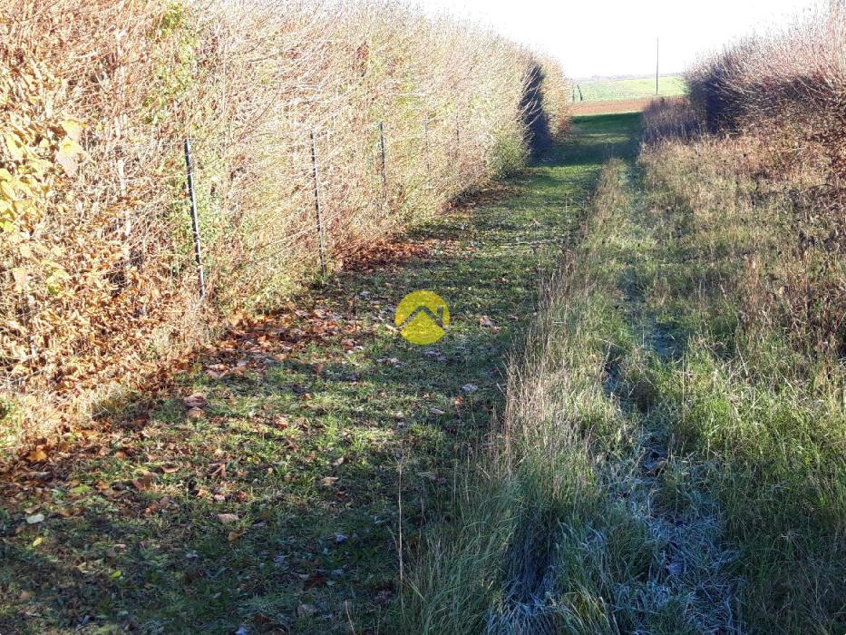 AU CALME DE LA CAMPAGNE 