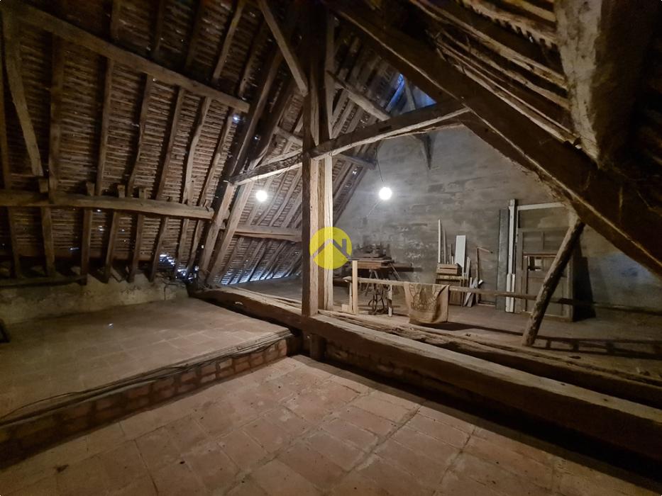 habitable de suite 