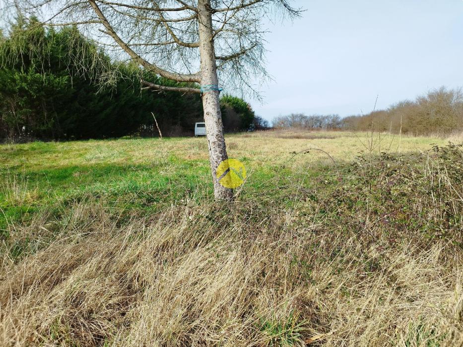 Terrain en campagne 