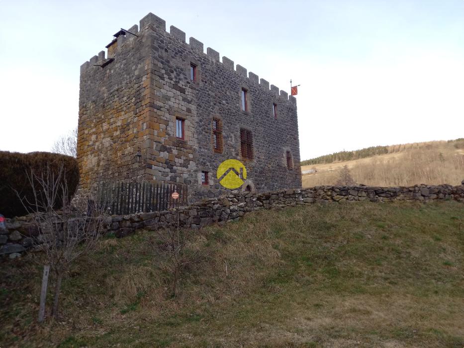 Château / Maison Bourgeoise Murat, 7 pièces à vendre