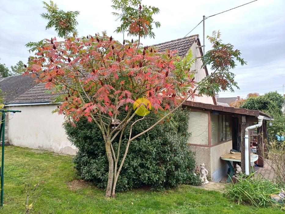 Maison 3 chambres et Garage