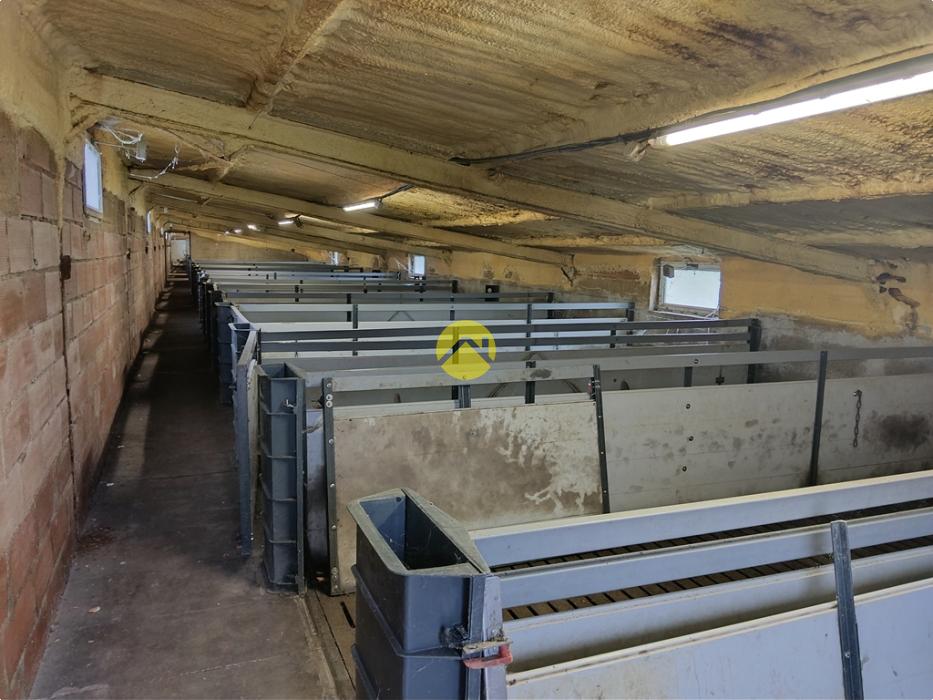 Bâtiments 1360m2  à côté de D1