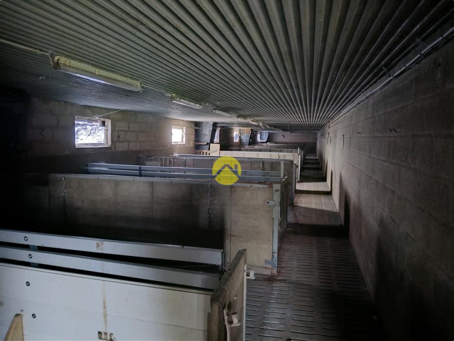 Bâtiments 1360m2  à côté de D1