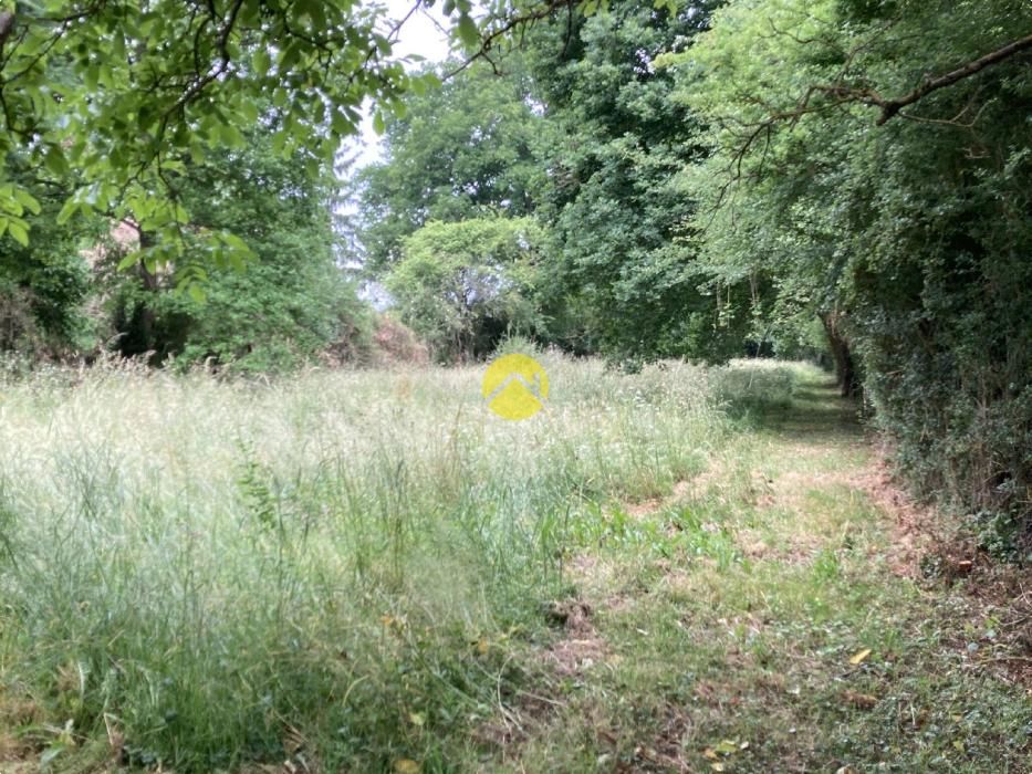 LONGERE  DE 100 m²