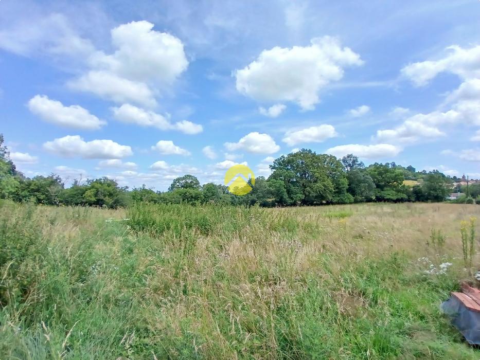 Maison + grange + hangar, 2ha
