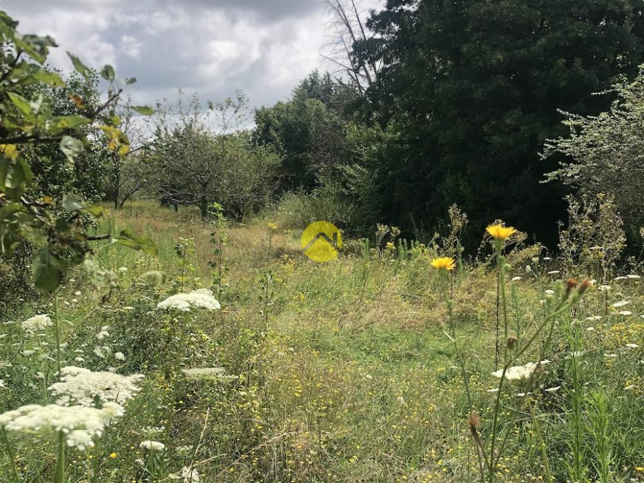 Terrain de loisirs avec verger