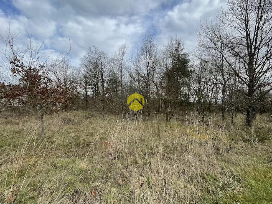 Beau terrain de loisirs plat