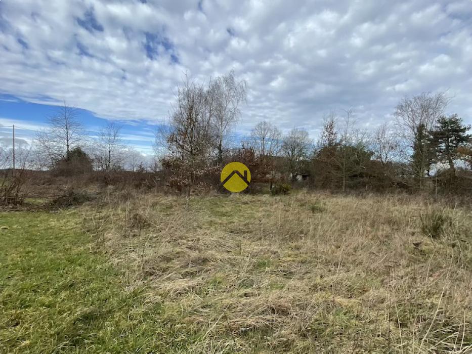 Beau terrain de loisirs plat