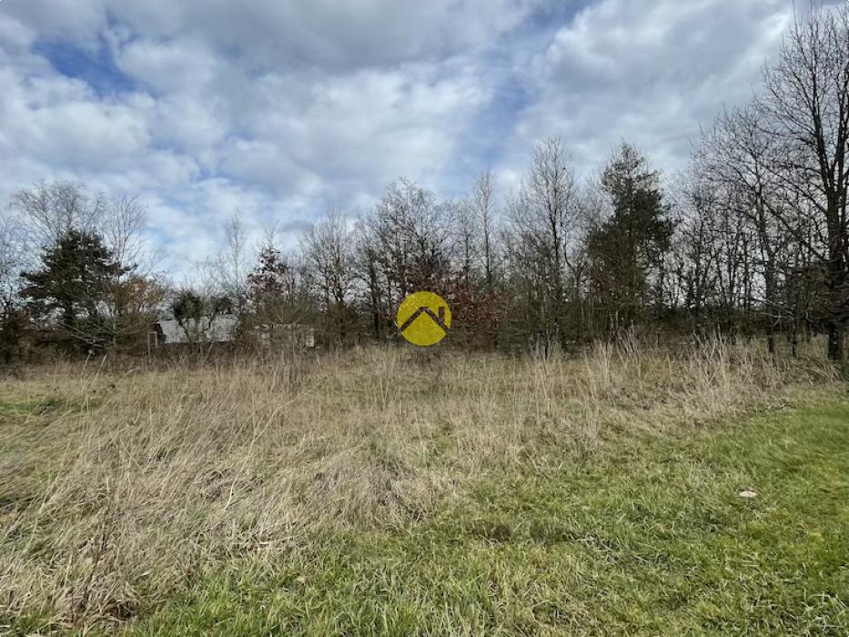 Beau terrain de loisirs plat