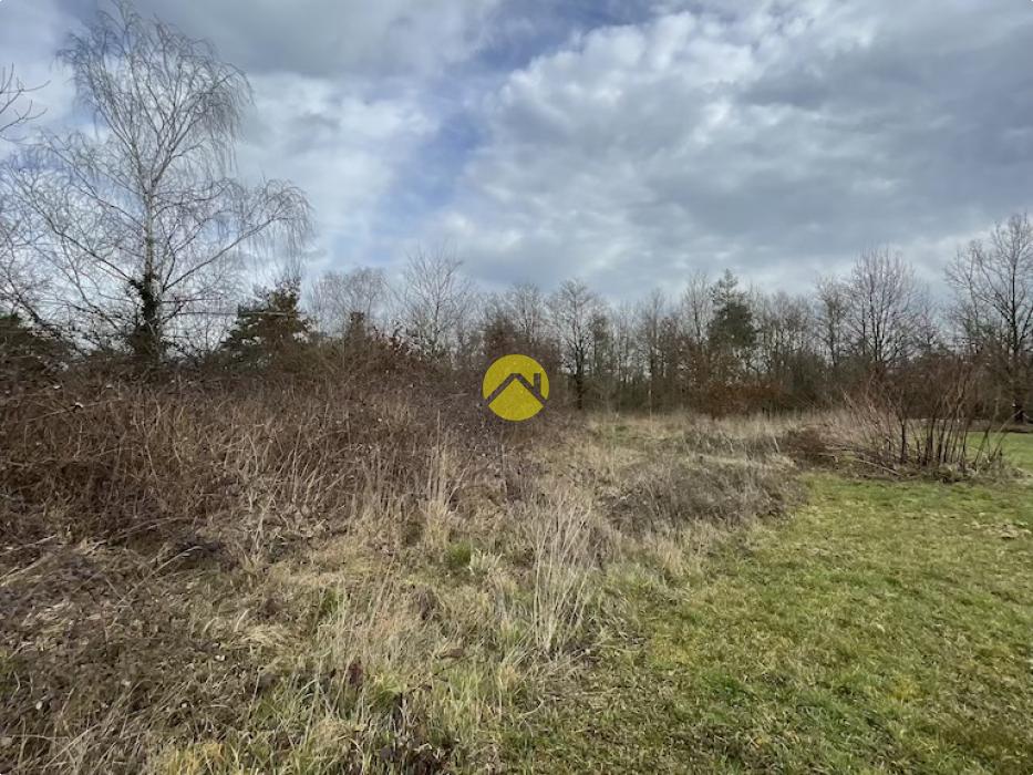Beau terrain de loisirs plat