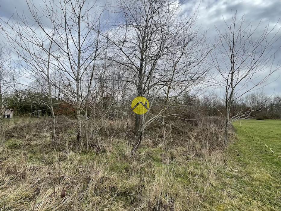 Beau terrain de loisirs plat