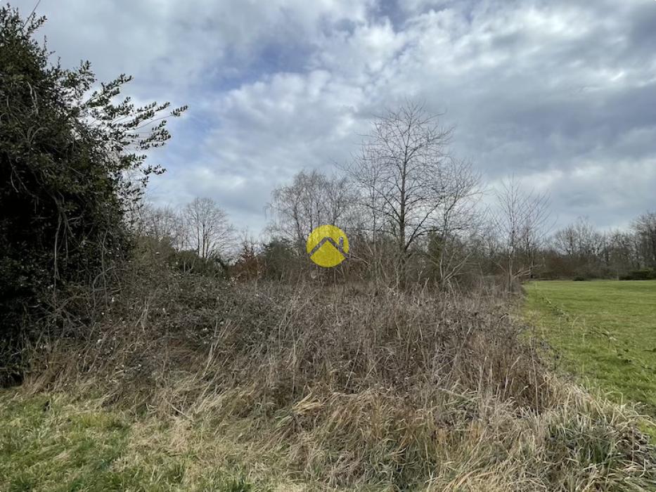Beau terrain de loisirs plat