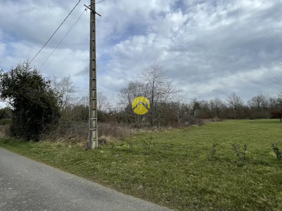 Beau terrain de loisirs plat