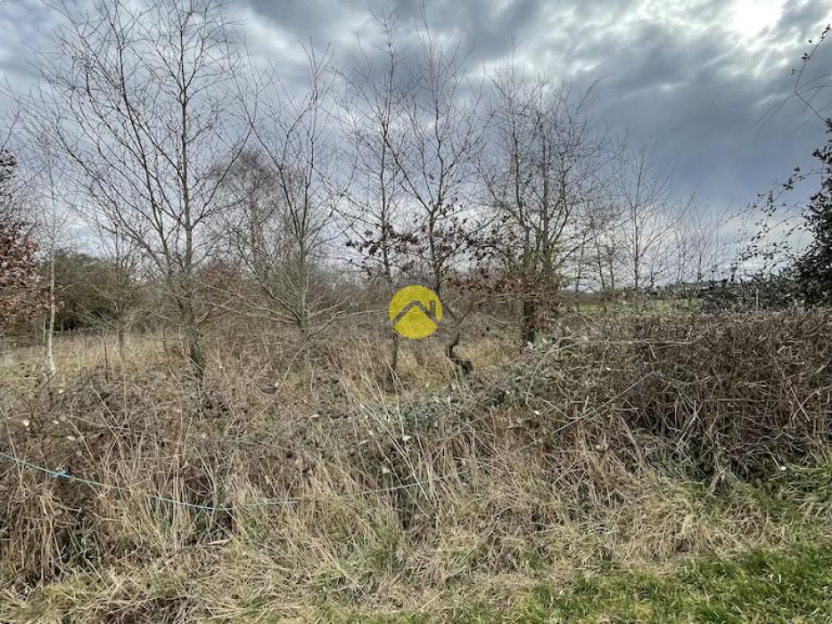Beau terrain de loisirs plat