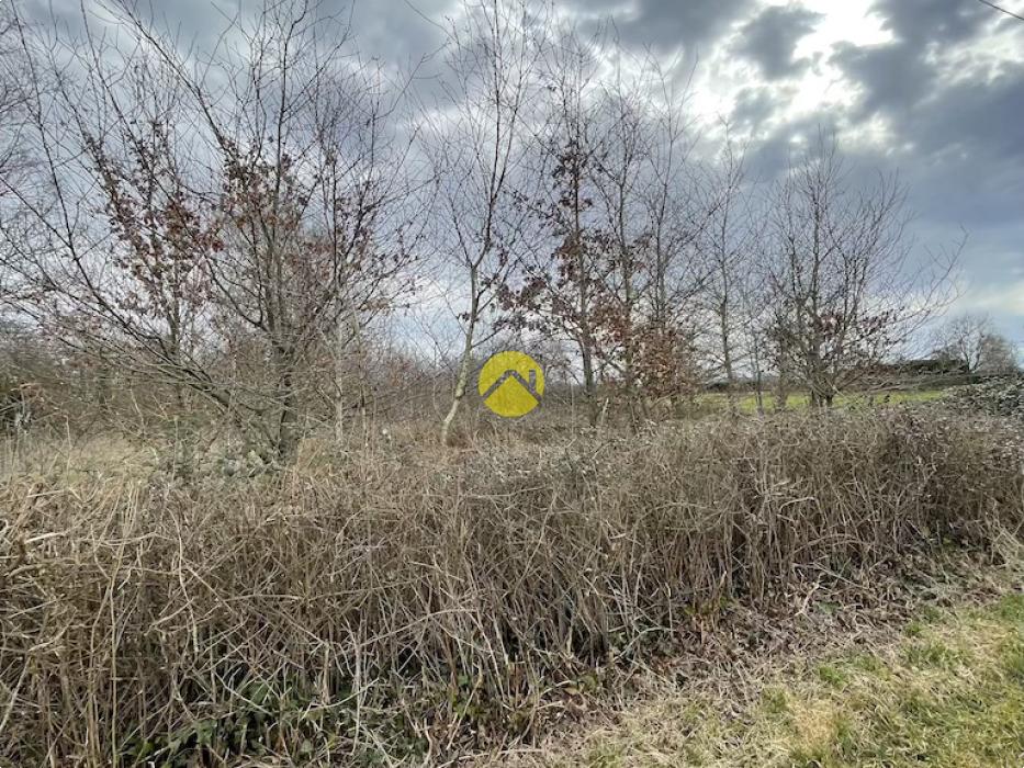 Beau terrain de loisirs plat
