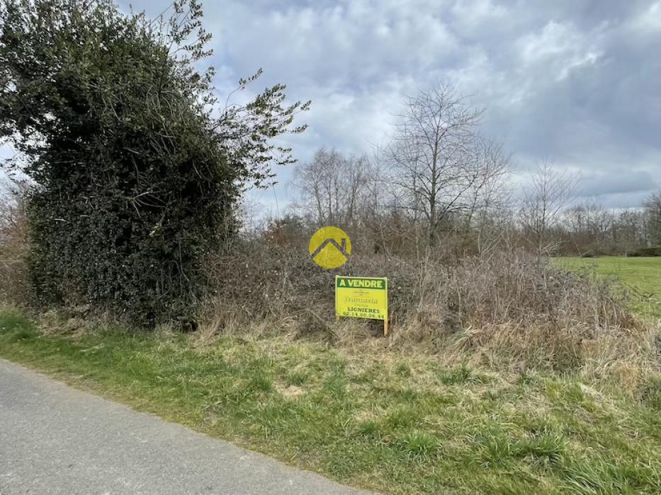 Beau terrain de loisirs plat