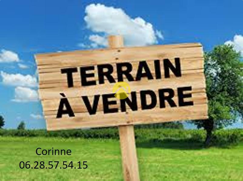 Terrain boisé