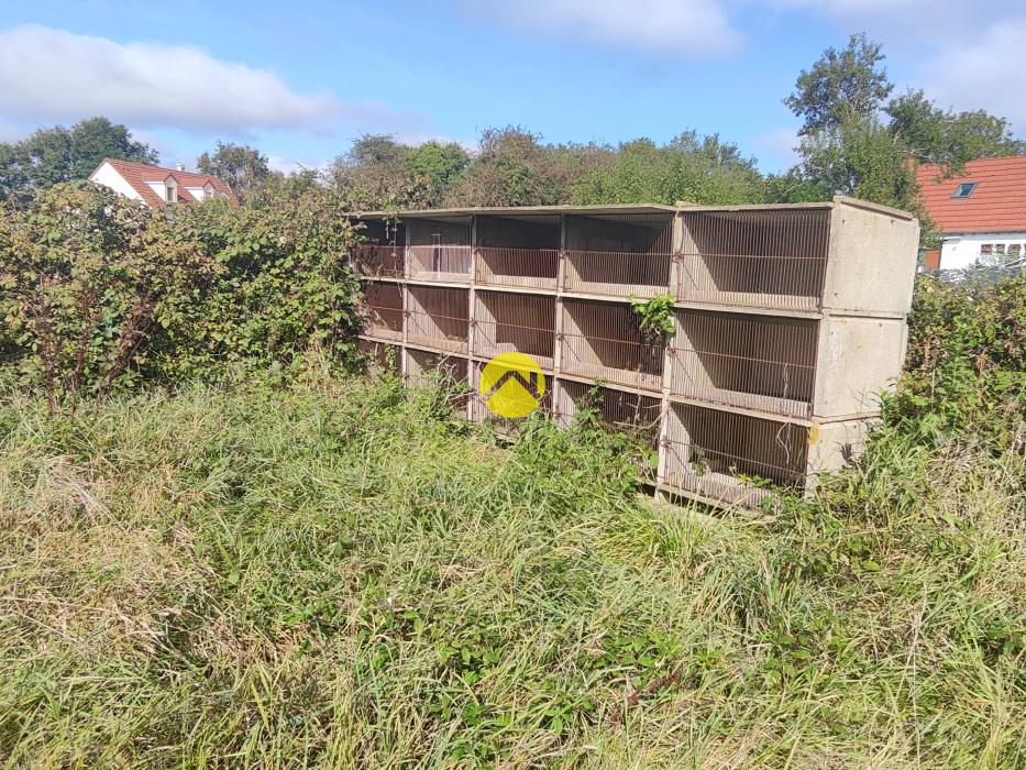 LONGERE EN PLEINE CAMPAGNE