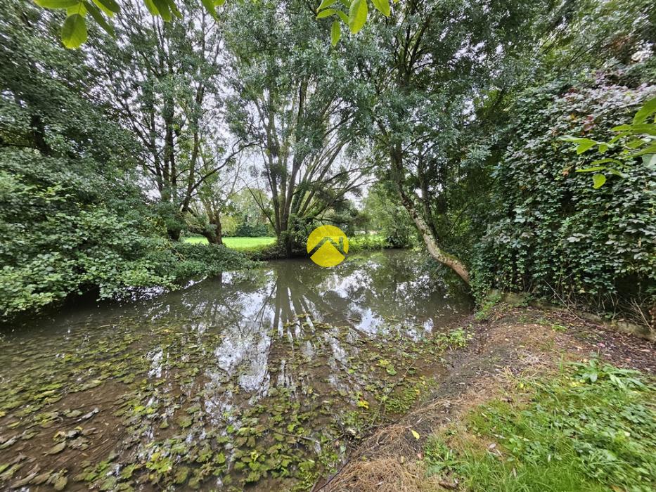 joli terrain avec cours d'eau 