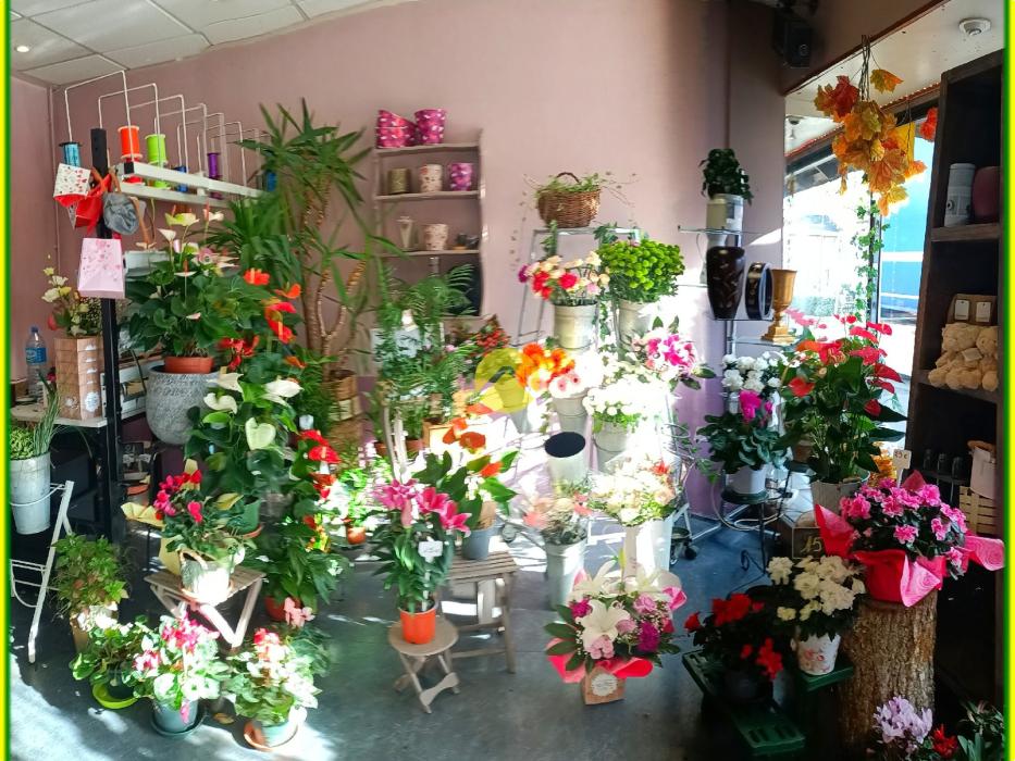 HABITATION / LOCAL COMMERCIAL 