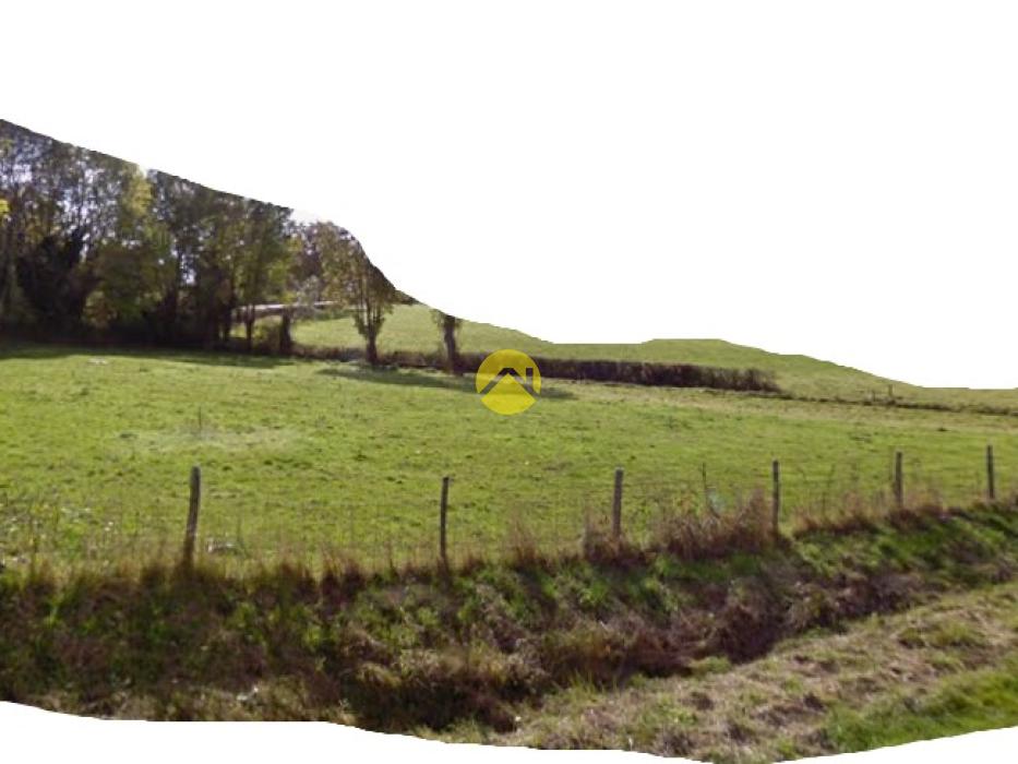 maison à restaurer + pré 