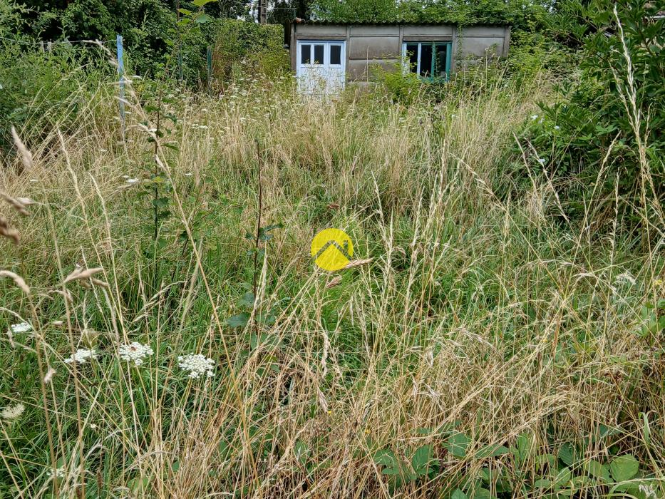 T2 RDC  loué avec jardin