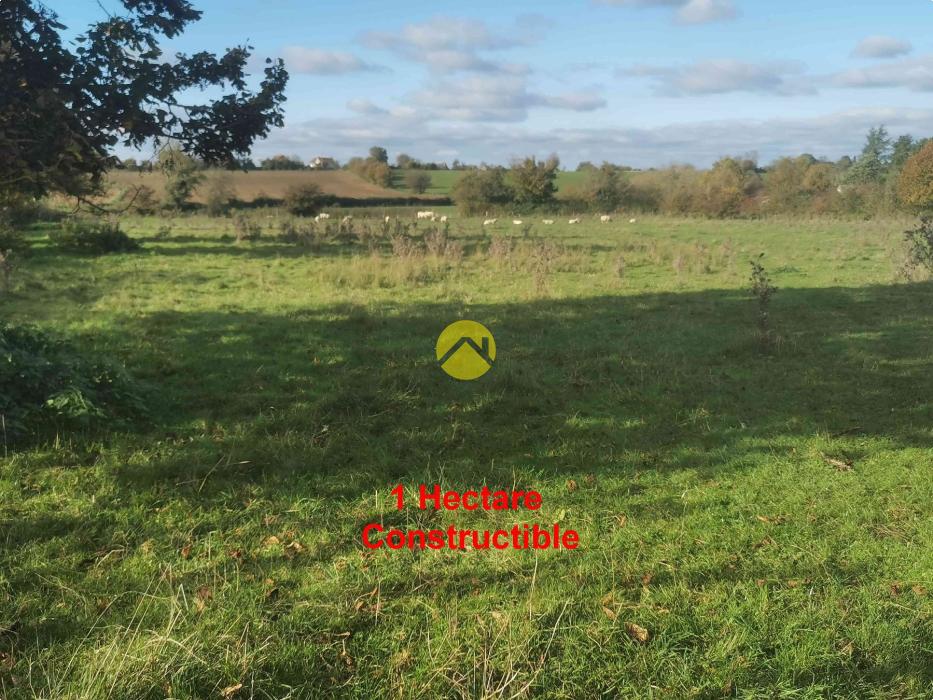 1 hectare pour 8 maisons