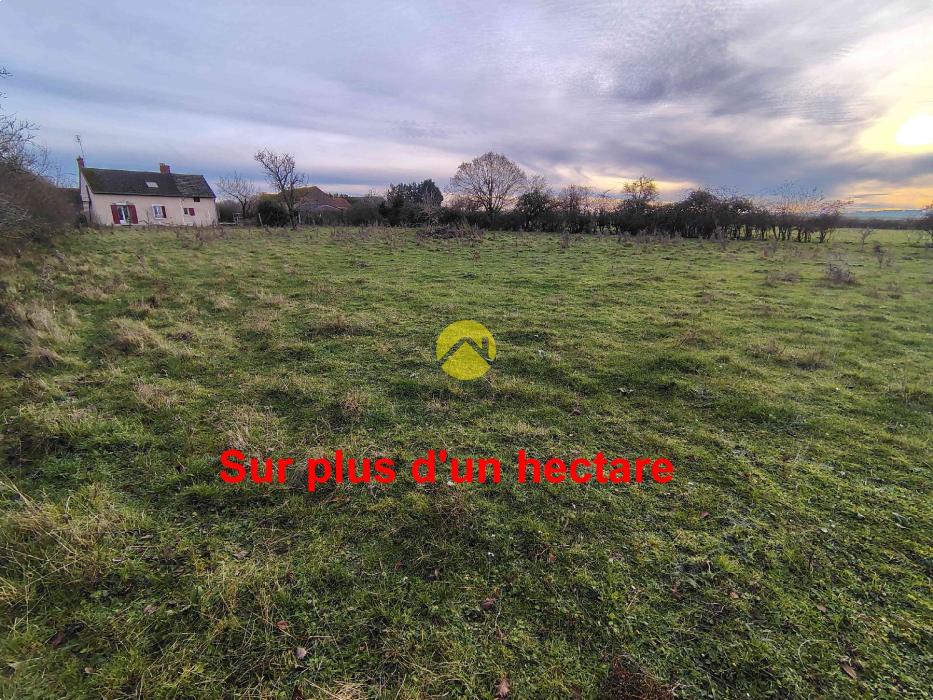 Maison + Grange sur 1 Hectare