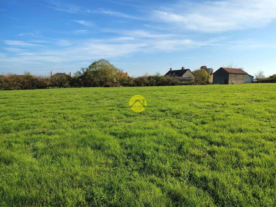 Maison+Grange sur 1 ha !
