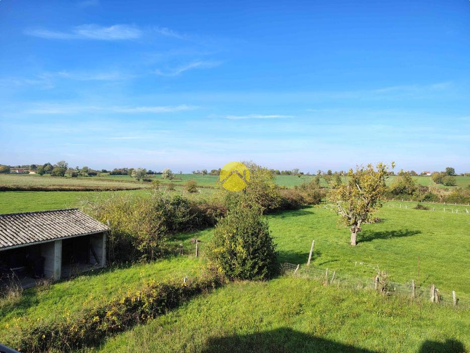 Maison+Grange sur 1 ha !