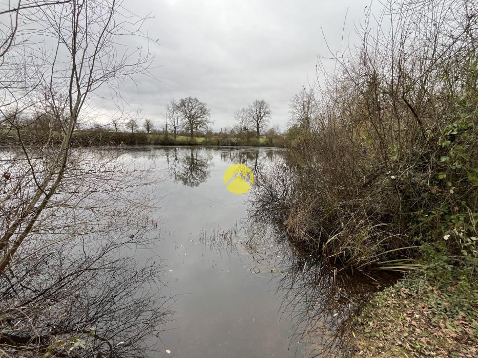 Etang et bois