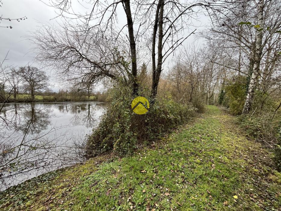 Etang et bois