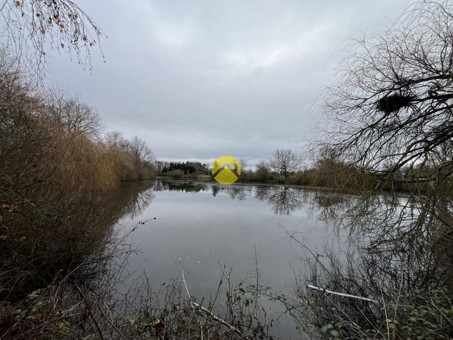 Etang et bois