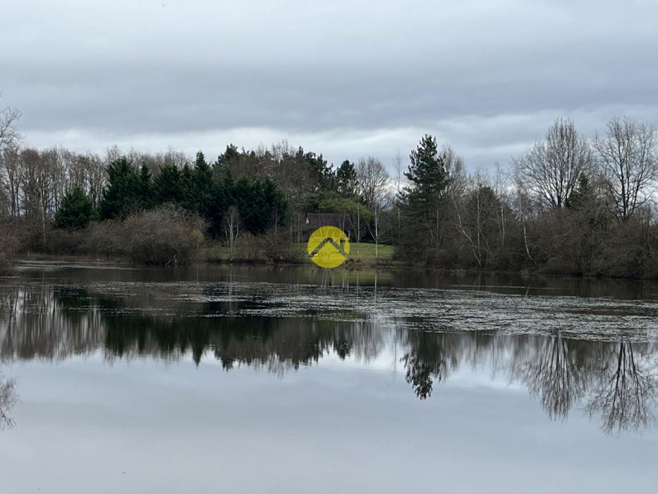 Etang et bois