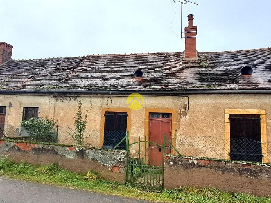 Proche de la forêt de Tonçais