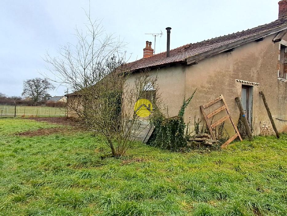 Proche de la forêt de Tonçais