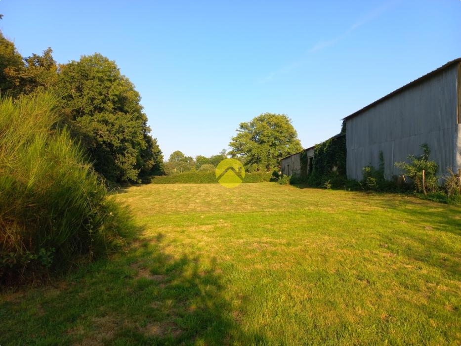 Maison rénovée sur 1 HA