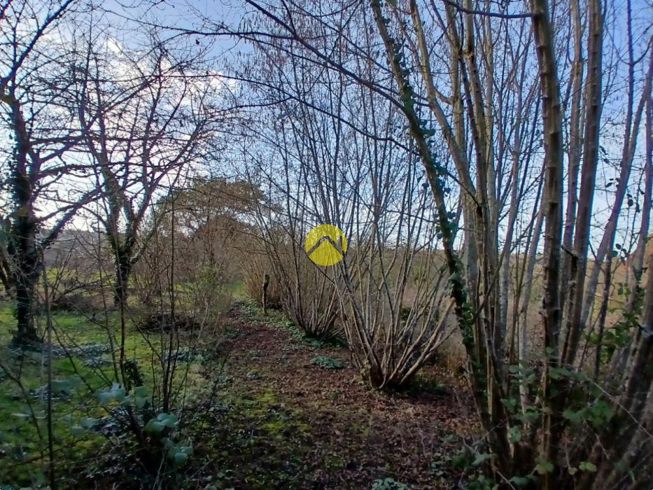 Magnifique terrain de loisirs 4075m2