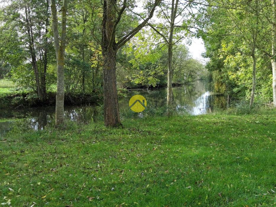 Amis pêcheurs / Au bord de la rivière Arnon