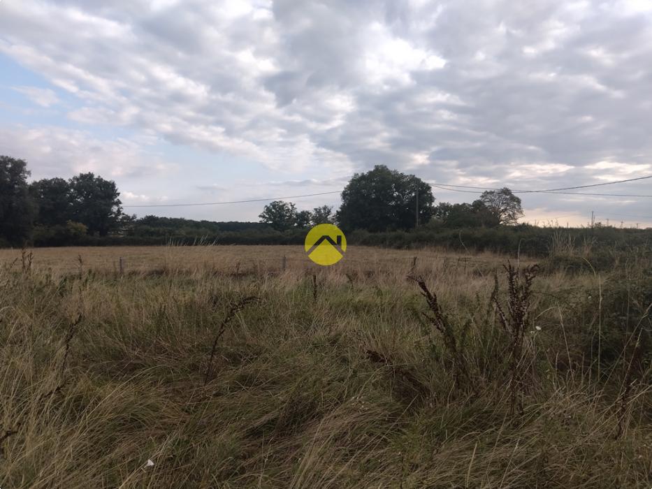 Pas de voisin à 100m à la ronde