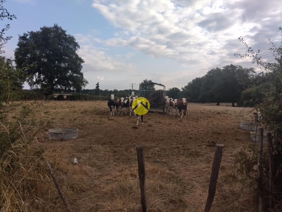 Pas de voisin à 100m à la ronde