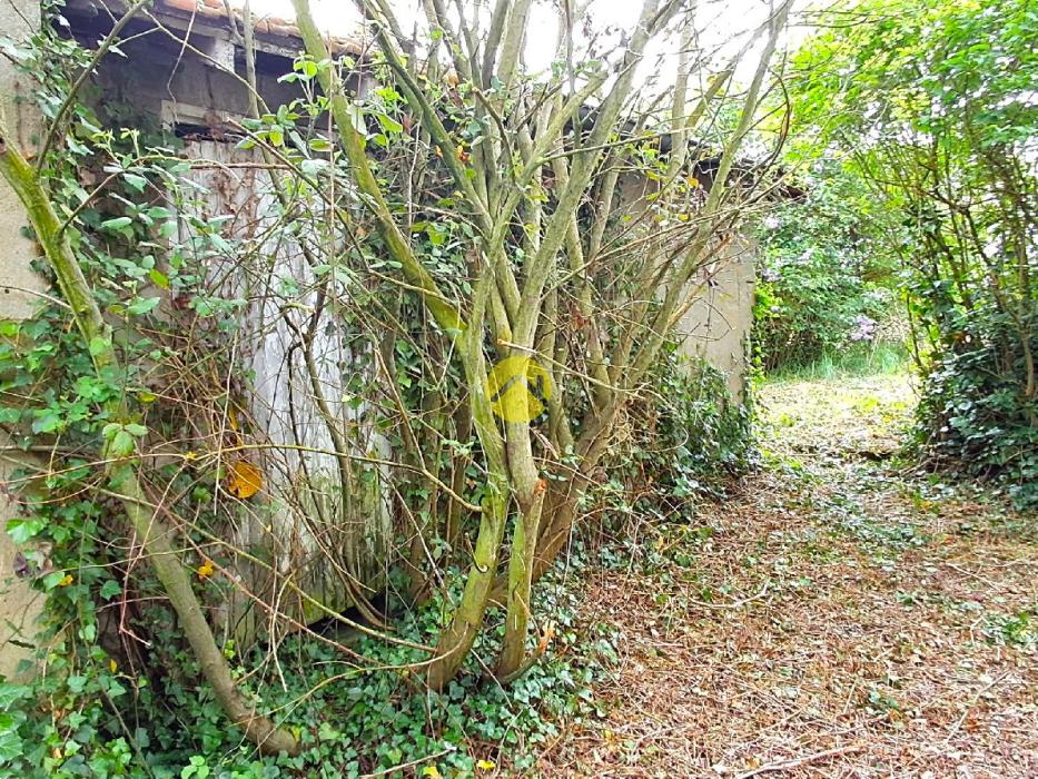 Maison au calme
