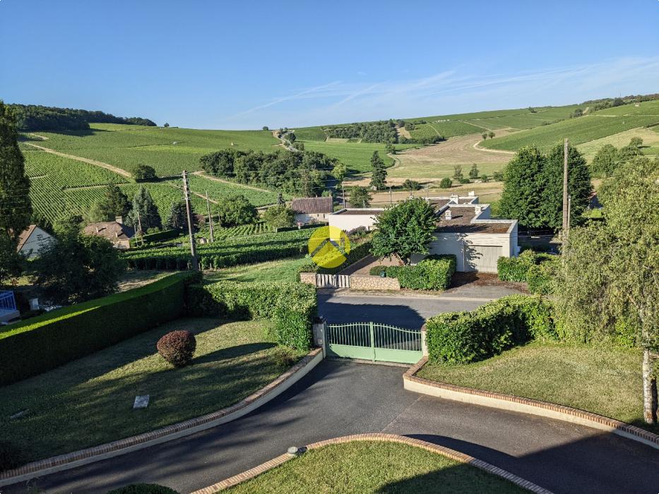 Au coeur du vignoble sancerrois