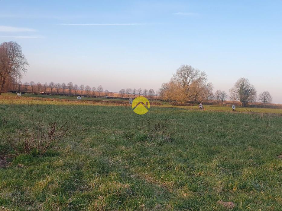 Terrain en bordure de fôret 