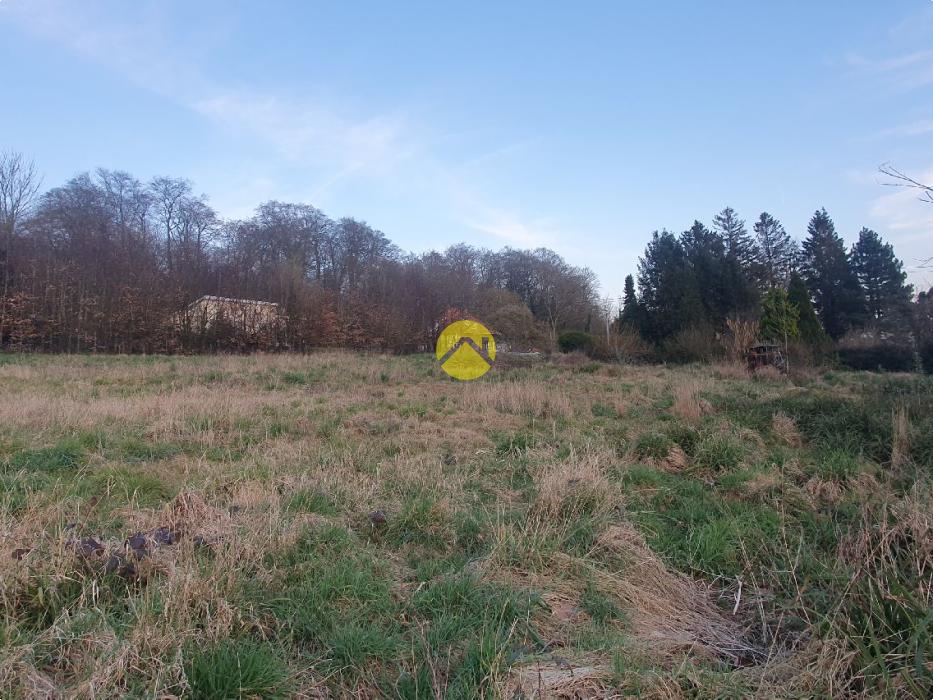 Terrain en bordure de fôret 