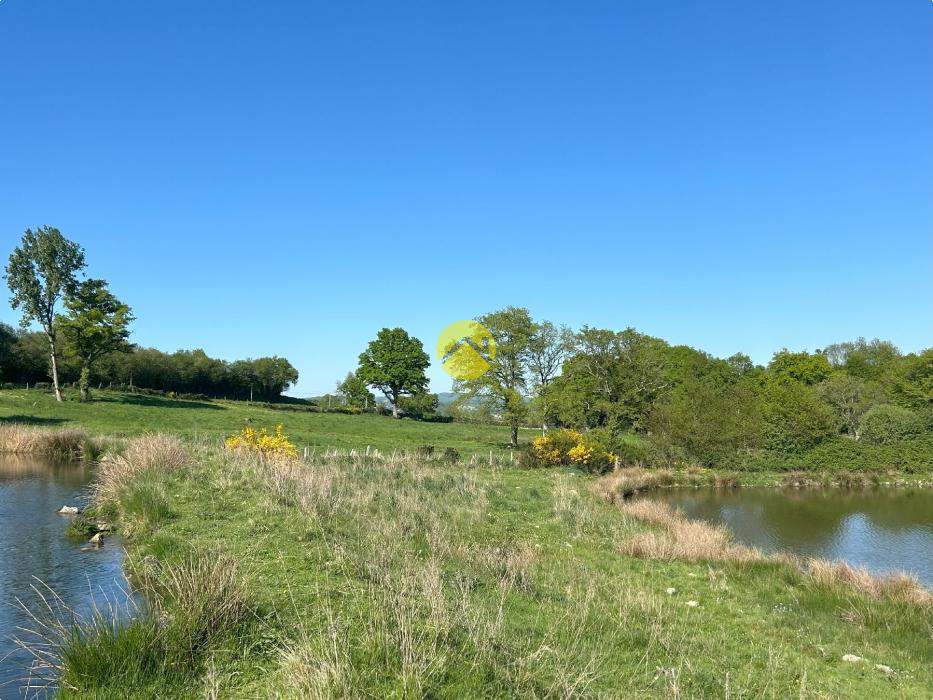 TERRAIN CONSTR 3,3HA ET 2 ETANGS